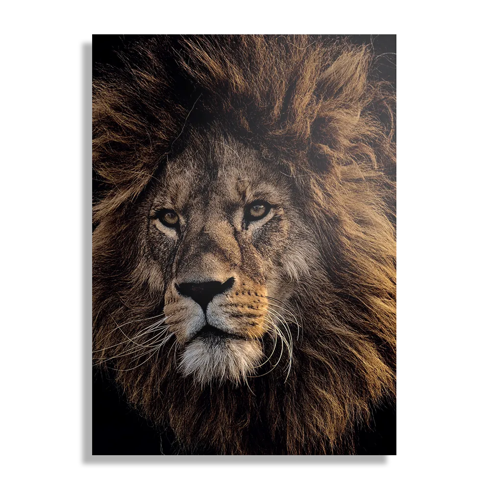 Schilderij The Lion Rechthoek Verticaal Template DB 50 70 Verticaal Dieren 5 1