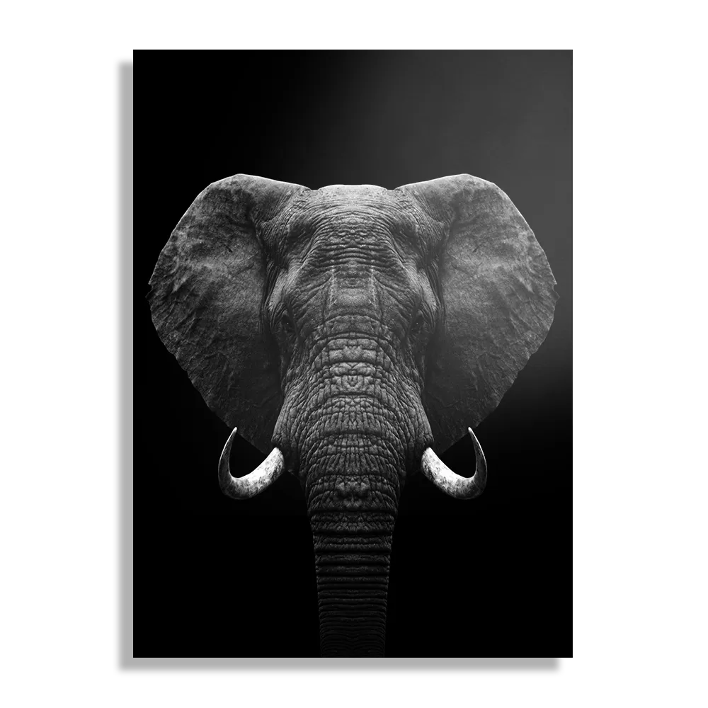 Schilderij Olifant Zwart Wit Rechthoek Verticaal Template DB 50 70 Verticaal Dieren 56 1
