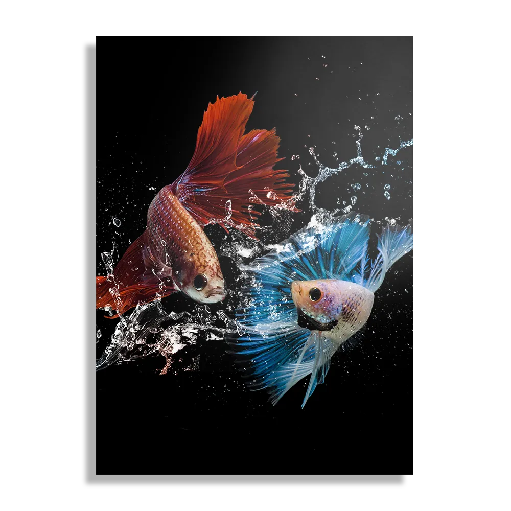 Schilderij Twain Betta Fishes Rechthoek Verticaal Template DB 50 70 Verticaal Dieren 68 1