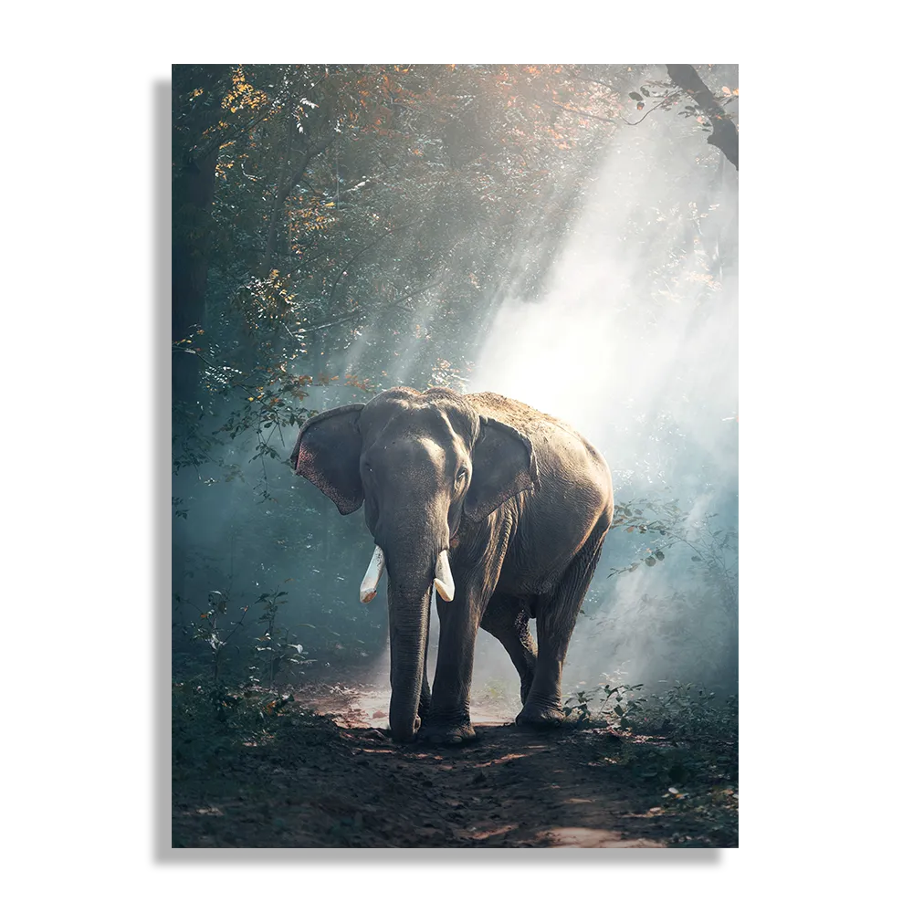 Schilderij De Belichten Olifant Rechthoek Verticaal Template DB 50 70 Verticaal Dieren 69 1