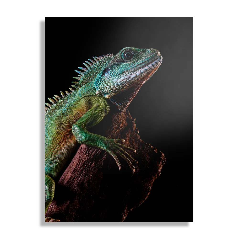 Schilderij De Groene Kameleon Rechthoek Verticaal Template DB 50 70 Verticaal Dieren 73 1