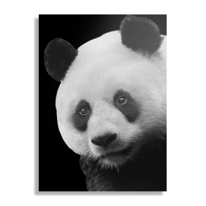 Schilderij Pandabeer Zwart Wit 02 Rechthoek Verticaal Template DB 50 70 Verticaal Dieren 74 1