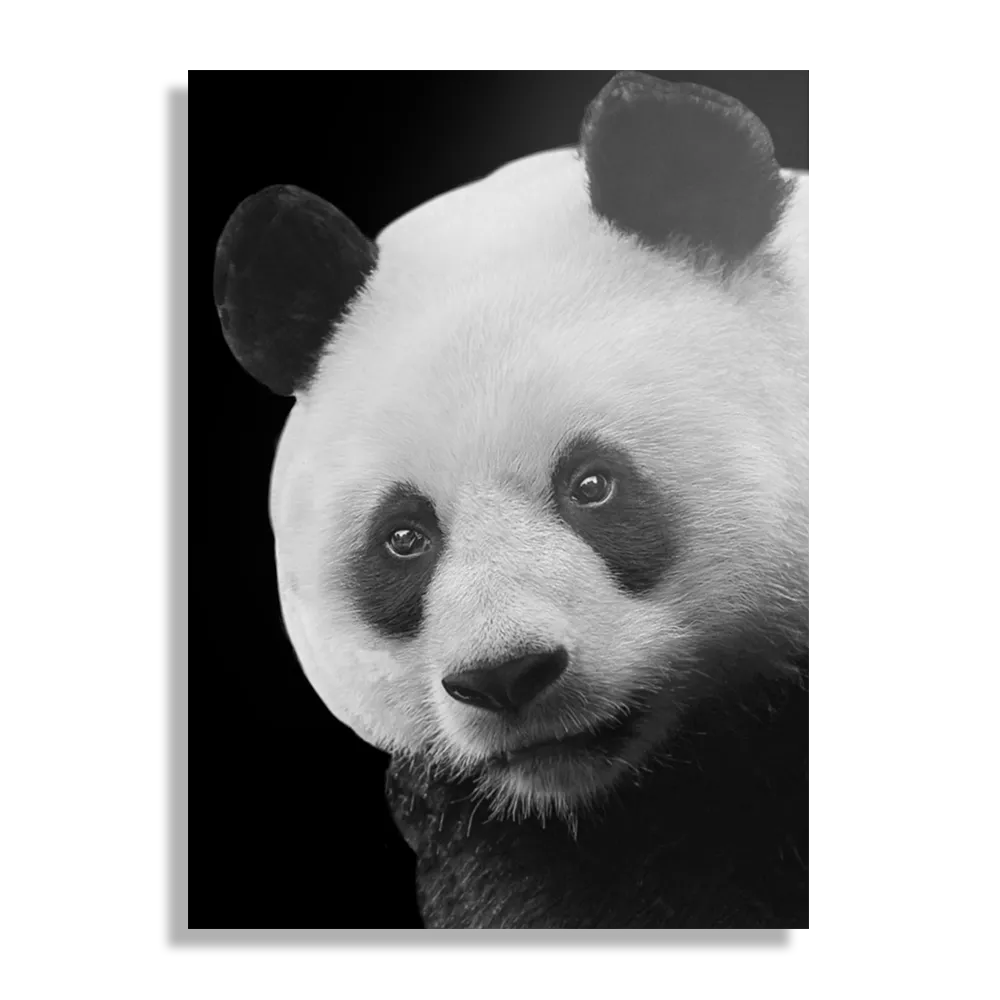 Schilderij Pandabeer Zwart Wit 02 Rechthoek Verticaal Template DB 50 70 Verticaal Dieren 74 1