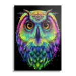 Schilderij Colored Owl 01 Rechthoek Verticaal Template DB 50 70 Verticaal Dieren 82 1