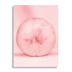 Schilderij Radijsje Roze Rechthoek Verticaal Template DB 50 70 Verticaal Eten En Drinken 1 1