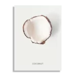 Schilderij Coconut Rechthoek Verticaal Template DB 50 70 Verticaal Eten En Drinken 3 1