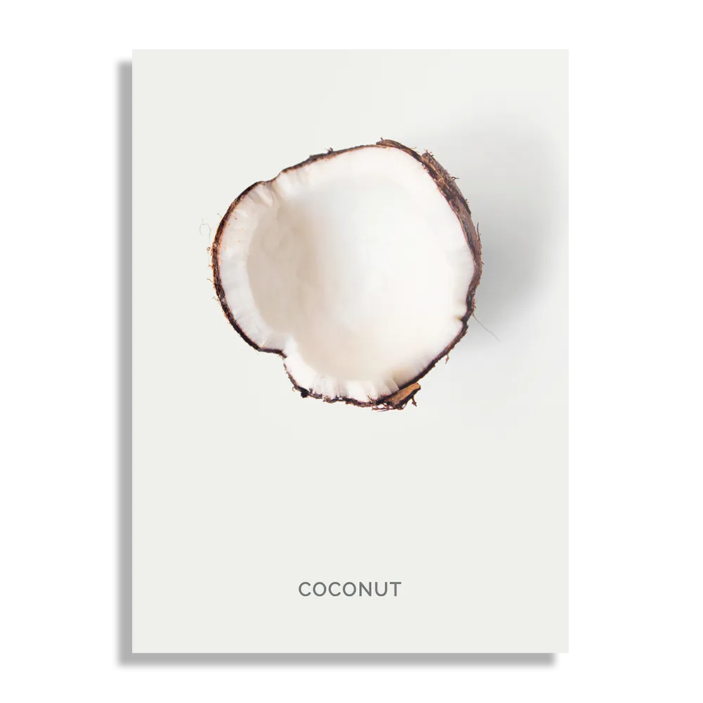 Schilderij Coconut Rechthoek Verticaal Template DB 50 70 Verticaal Eten En Drinken 3 1
