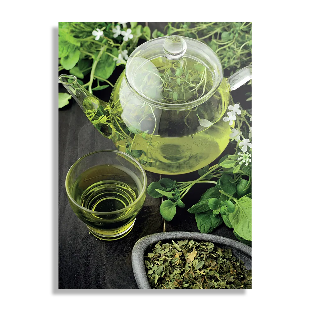 Schilderij Mint Thee Rechthoek Verticaal Template DB 50 70 Verticaal Eten En Drinken 49 1