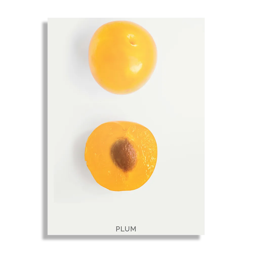 Template_DB_50-70_Verticaal_Eten-En-Drinken_9-1 Schilderij Plum Pruim Oranje Rechthoek Verticaal Template DB 50 70 Verticaal Eten En Drinken 9 1