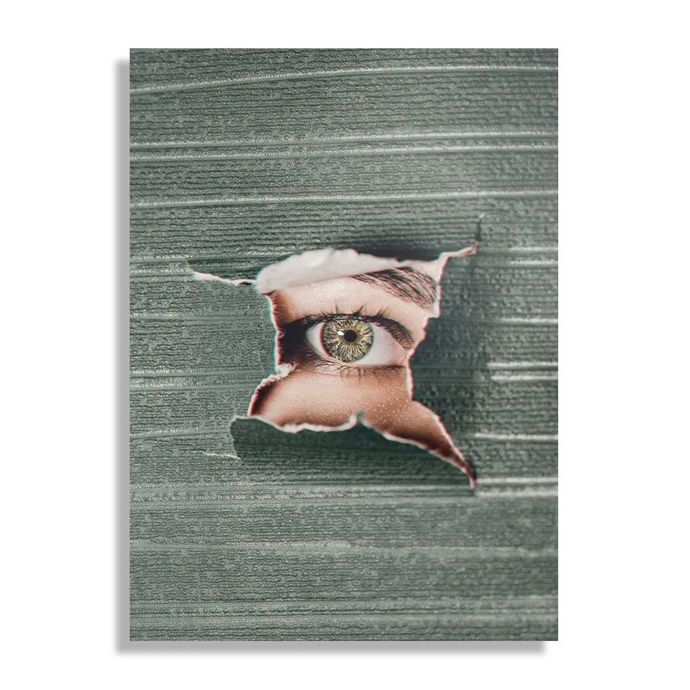 Schilderij I am Watching You Rechthoek Verticaal Template DB 50 70 Verticaal Mensen 15 1