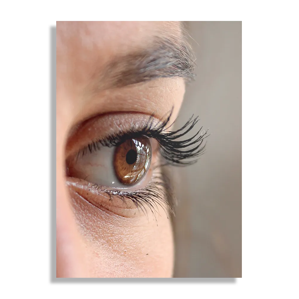 Template_DB_50-70_Verticaal_Mensen_19-1 Schilderij Het Bruine Oog Rechthoek Verticaal Template DB 50 70 Verticaal Mensen 19 1