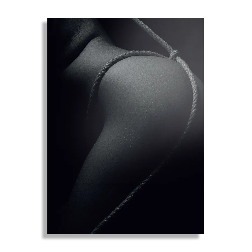 Template_DB_50-70_Verticaal_Mensen_3-1 Schilderij Vrouw Met Sexy Touw Rechthoek Verticaal Template DB 50 70 Verticaal Mensen 3 1