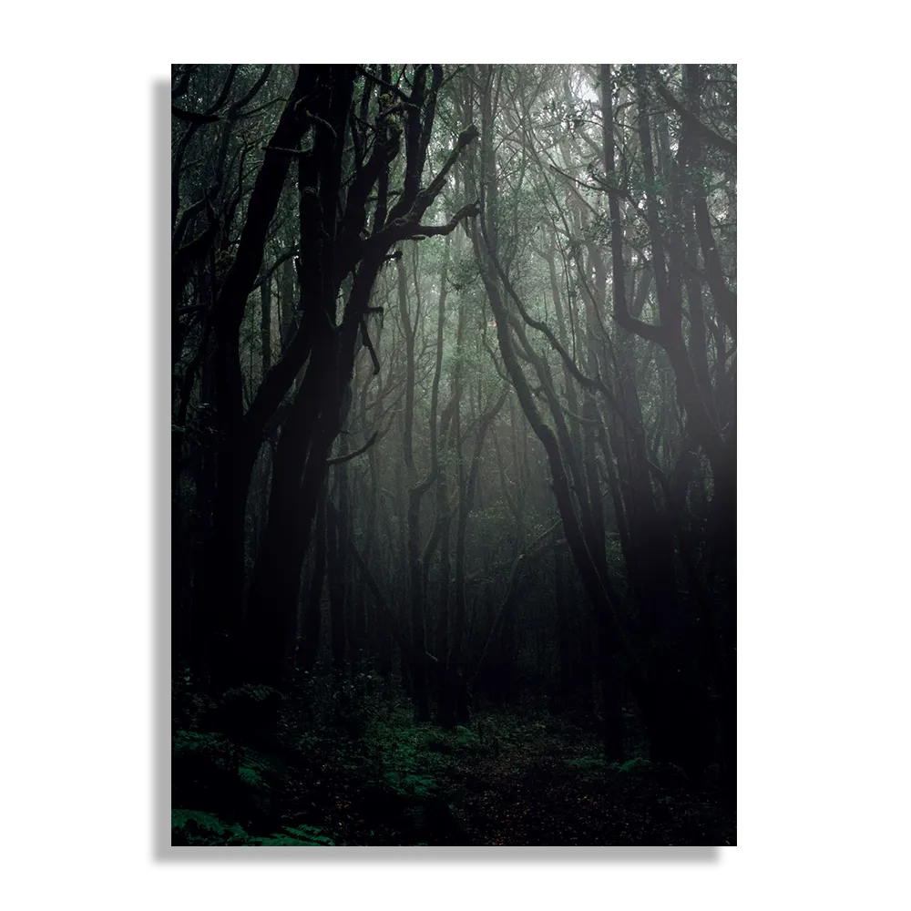 Template_DB_50-70_Verticaal_Natuur_1-1 Schilderij Het Donkere Bos Rechthoek Verticaal Template DB 50 70 Verticaal Natuur 1 1