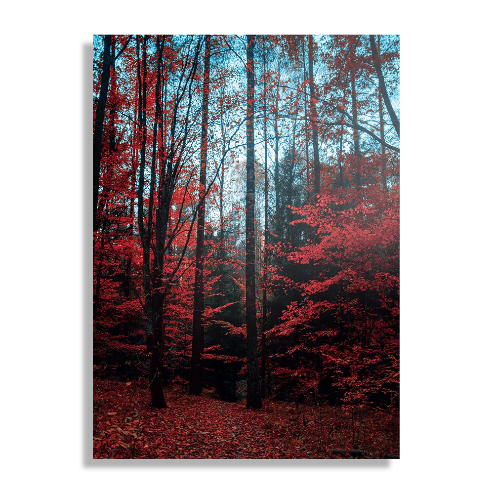 Schilderij Het rode bos Rechthoek Verticaal Template DB 50 70 Verticaal Natuur 12 1