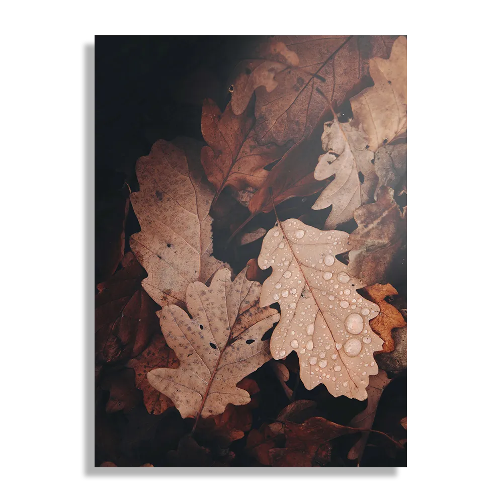 Schilderij Herfstweer Rechthoek Verticaal Template DB 50 70 Verticaal Natuur 13 1