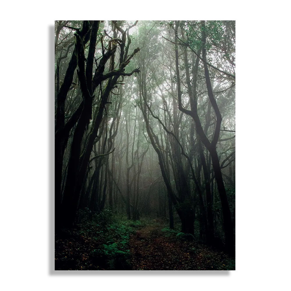 Schilderij Het Donkere Bos 2 Rechthoek Verticaal Template DB 50 70 Verticaal Natuur 17 1