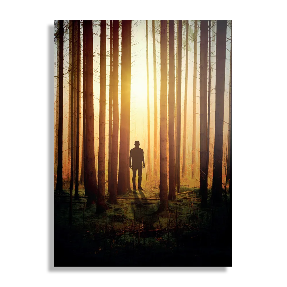 Schilderij De bomen door het bos Rechthoek Verticaal Template DB 50 70 Verticaal Natuur 19 1