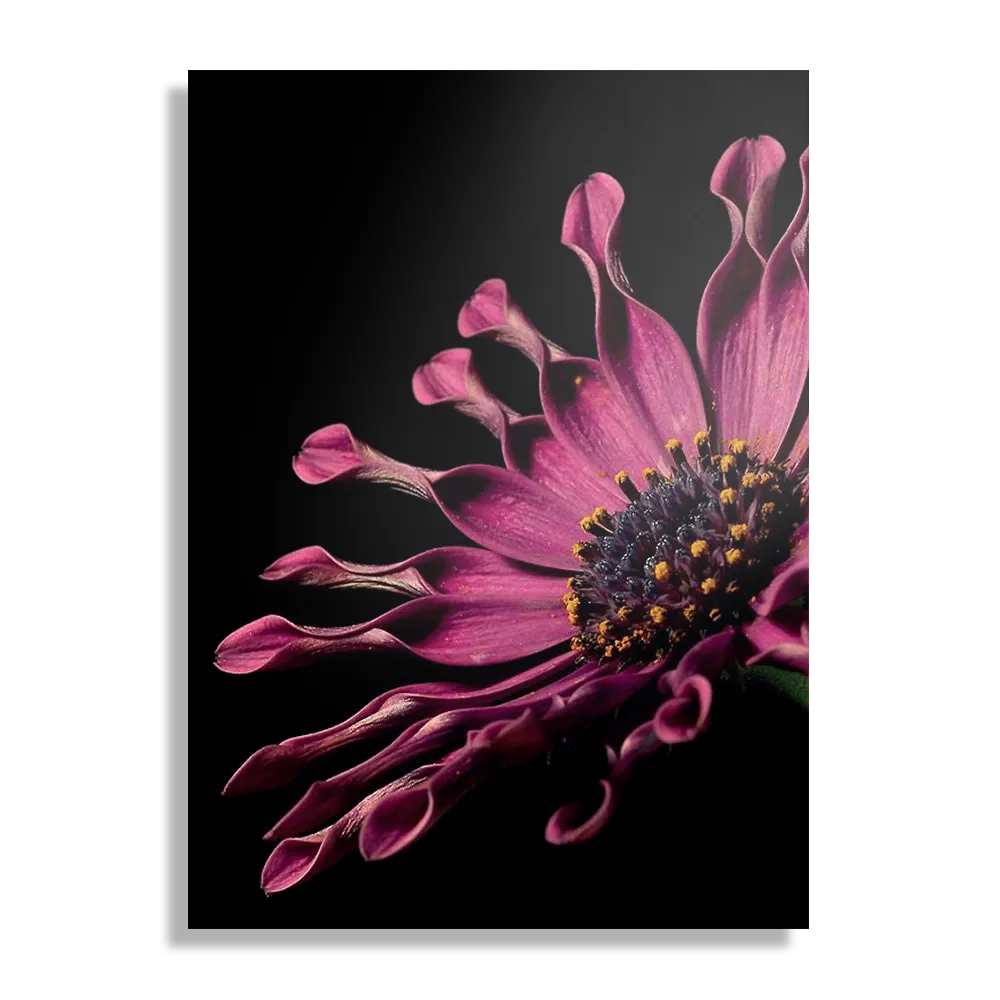 Schilderij Aster Bloem Rechthoek Verticaal Template DB 50 70 Verticaal Natuur 22 1