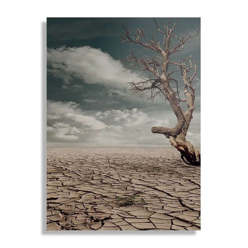 Schilderij Deathvalley Rechthoek Verticaal Template DB 50 70 Verticaal Natuur 23 1