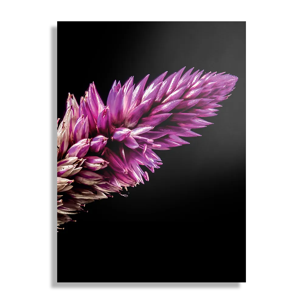 Schilderij Heiden Bloem Rechthoek Verticaal Template DB 50 70 Verticaal Natuur 24 1