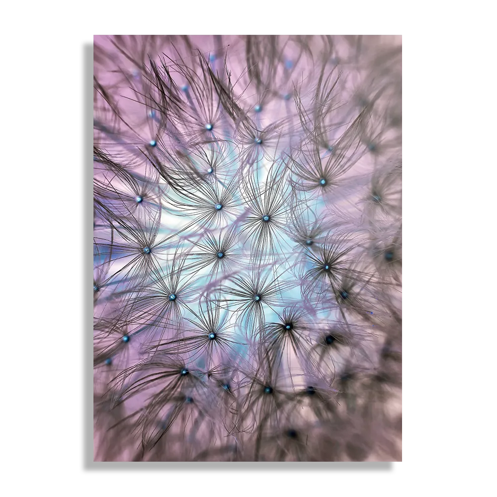 Schilderij Paardenbloem pluis Rechthoek Verticaal Template DB 50 70 Verticaal Natuur 25 1