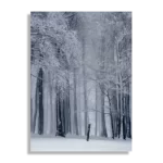 Schilderij Het winterse bos Rechthoek Verticaal Template DB 50 70 Verticaal Natuur 27 1