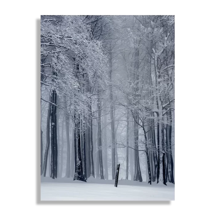 Schilderij Het winterse bos Rechthoek Verticaal Template DB 50 70 Verticaal Natuur 27 1