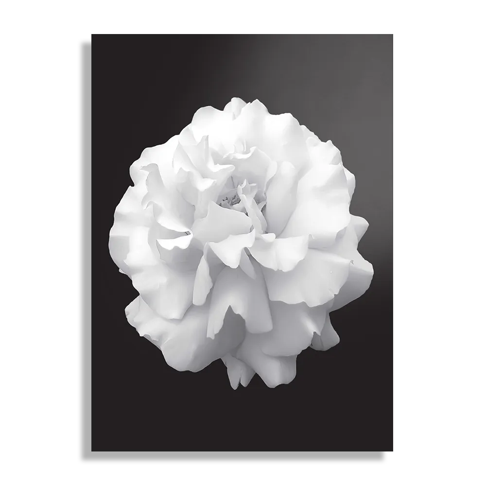 Schilderij Witte Anjer Rechthoek Verticaal Template DB 50 70 Verticaal Natuur 38 1