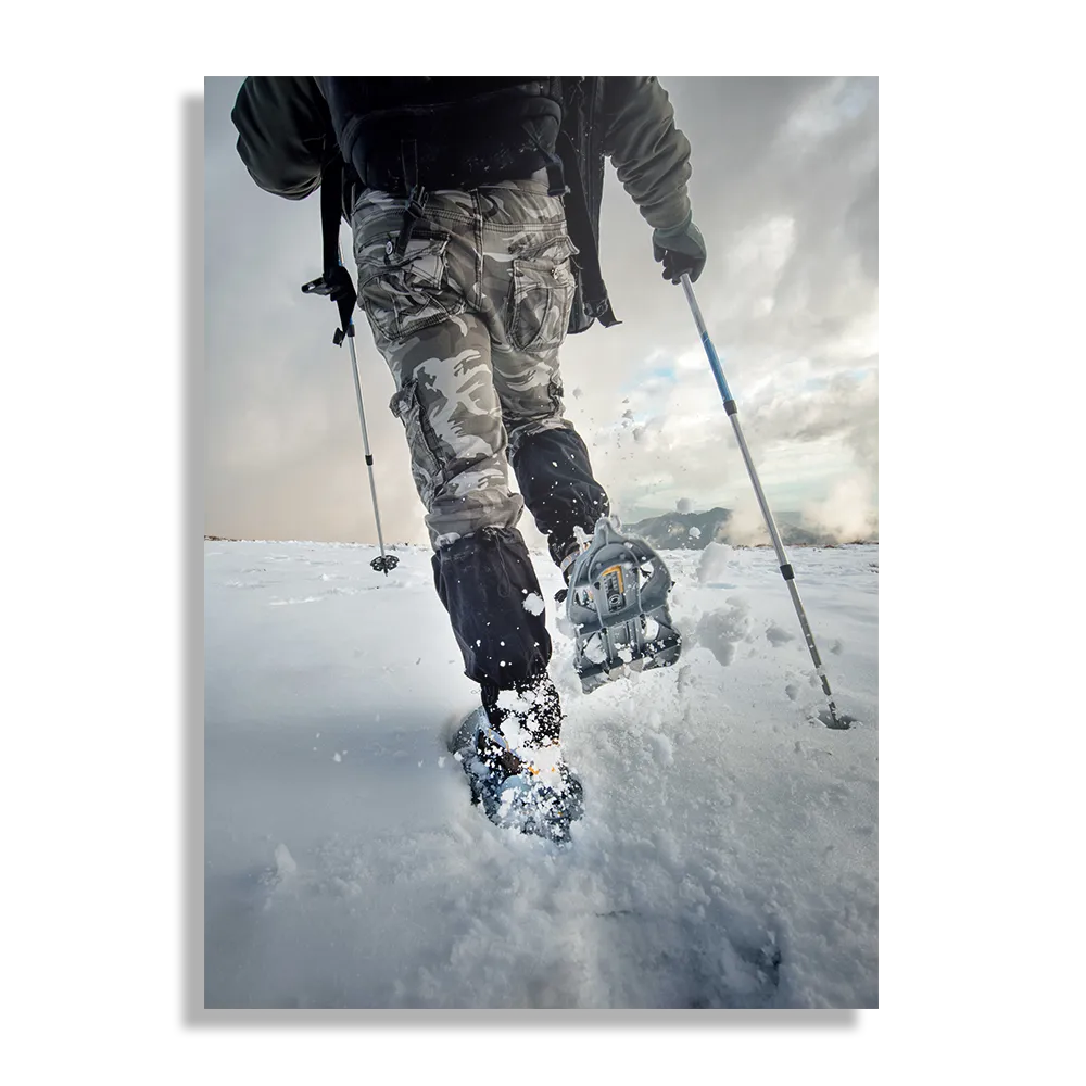 Template_DB_50-70_Verticaal_Natuur_43-1 Schilderij Een lange winterwandeling Rechthoek Verticaal Template DB 50 70 Verticaal Natuur 43 1