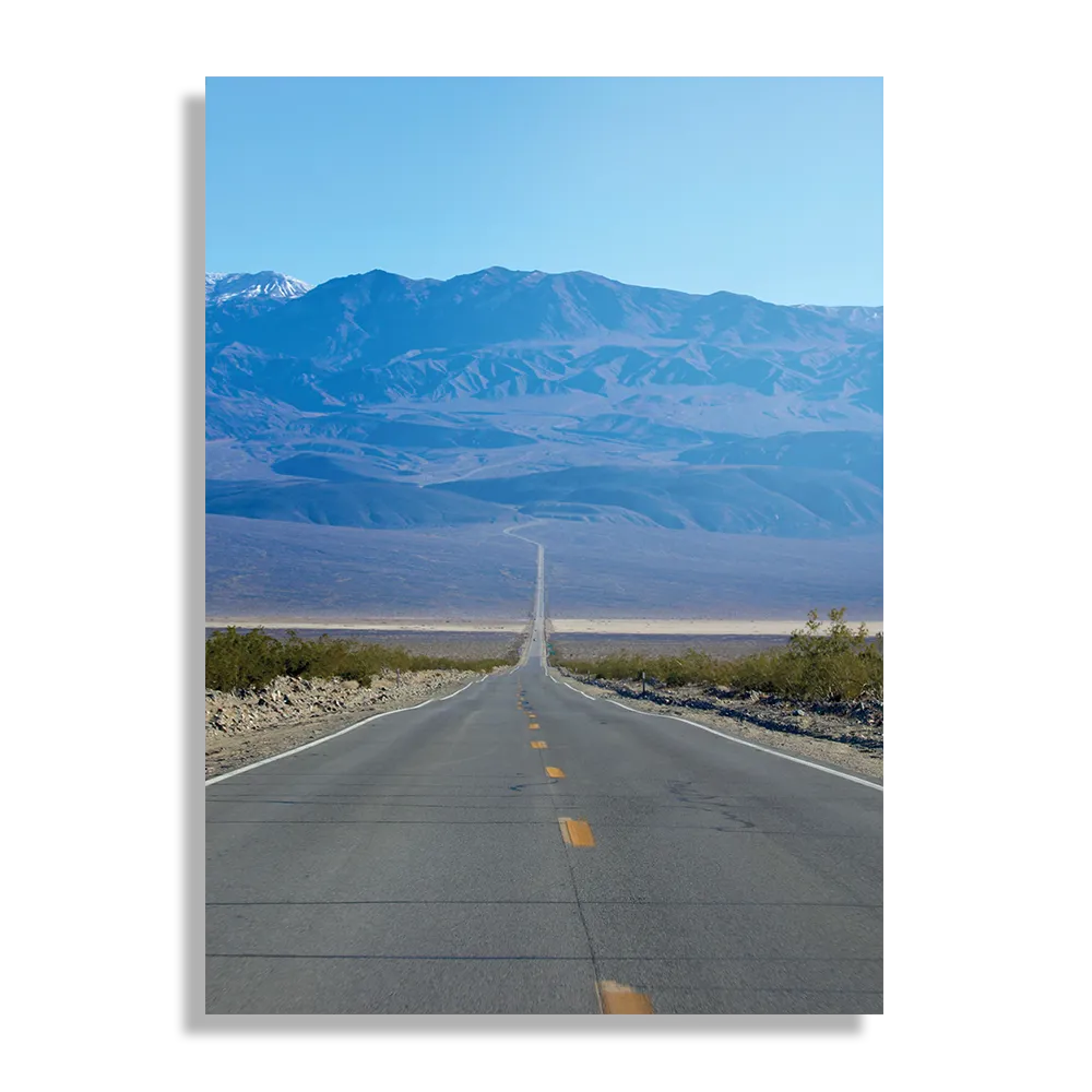 Schilderij The road in Deathvalley Rechthoek Verticaal Template DB 50 70 Verticaal Natuur 5 1