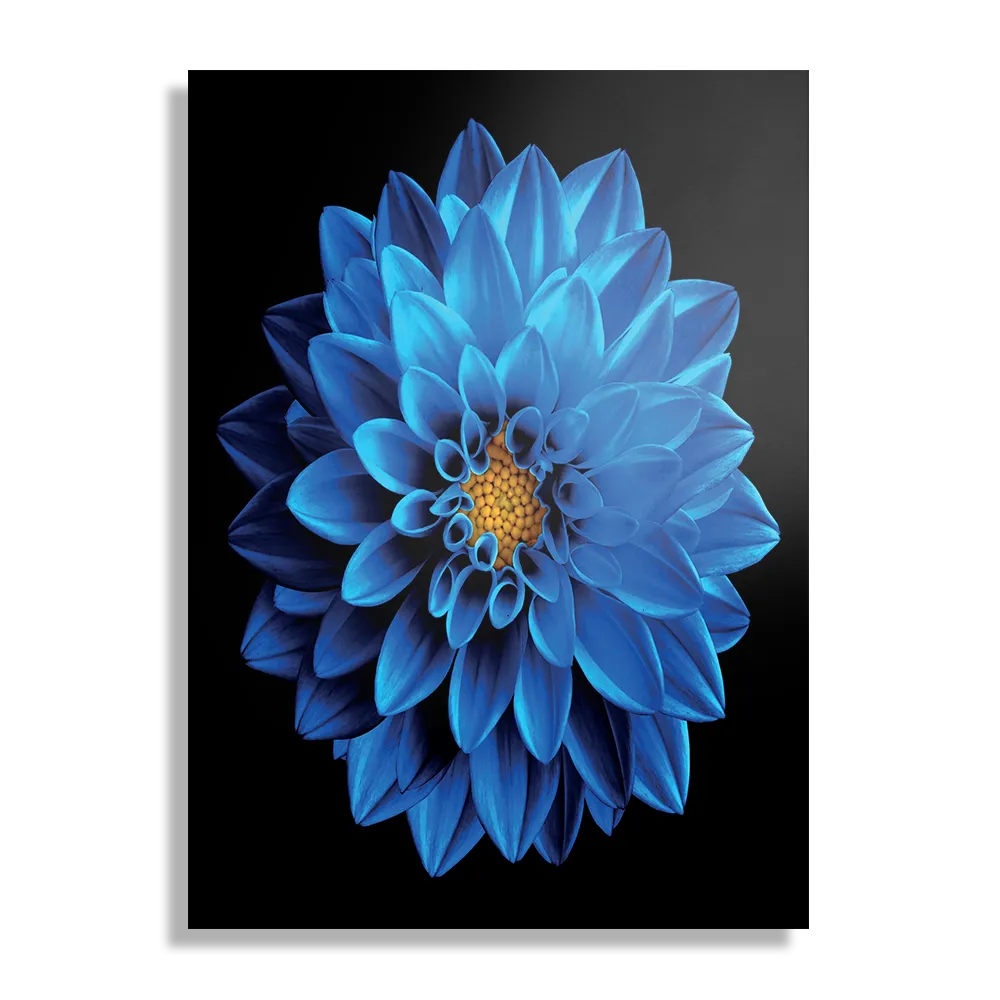 Schilderij Blauwe Dahlia Rechthoek Verticaal Template DB 50 70 Verticaal Natuur 54 1