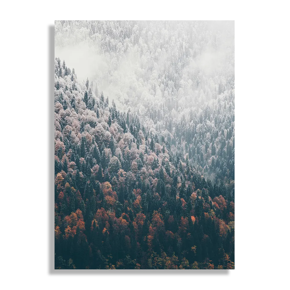 Schilderij Van herfst naar winter Rechthoek Verticaal Template DB 50 70 Verticaal Natuur 59 1