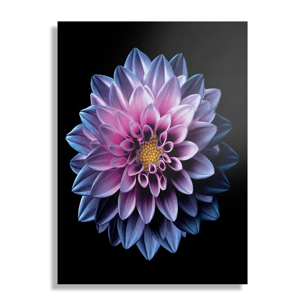 Template_DB_50-70_Verticaal_Natuur_67-1 Schilderij Paarse Dahlia Rechthoek Verticaal Template DB 50 70 Verticaal Natuur 67 1