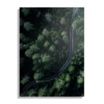 Schilderij Weg door het bos Rechthoek Verticaal Template DB 50 70 Verticaal Natuur 74 1