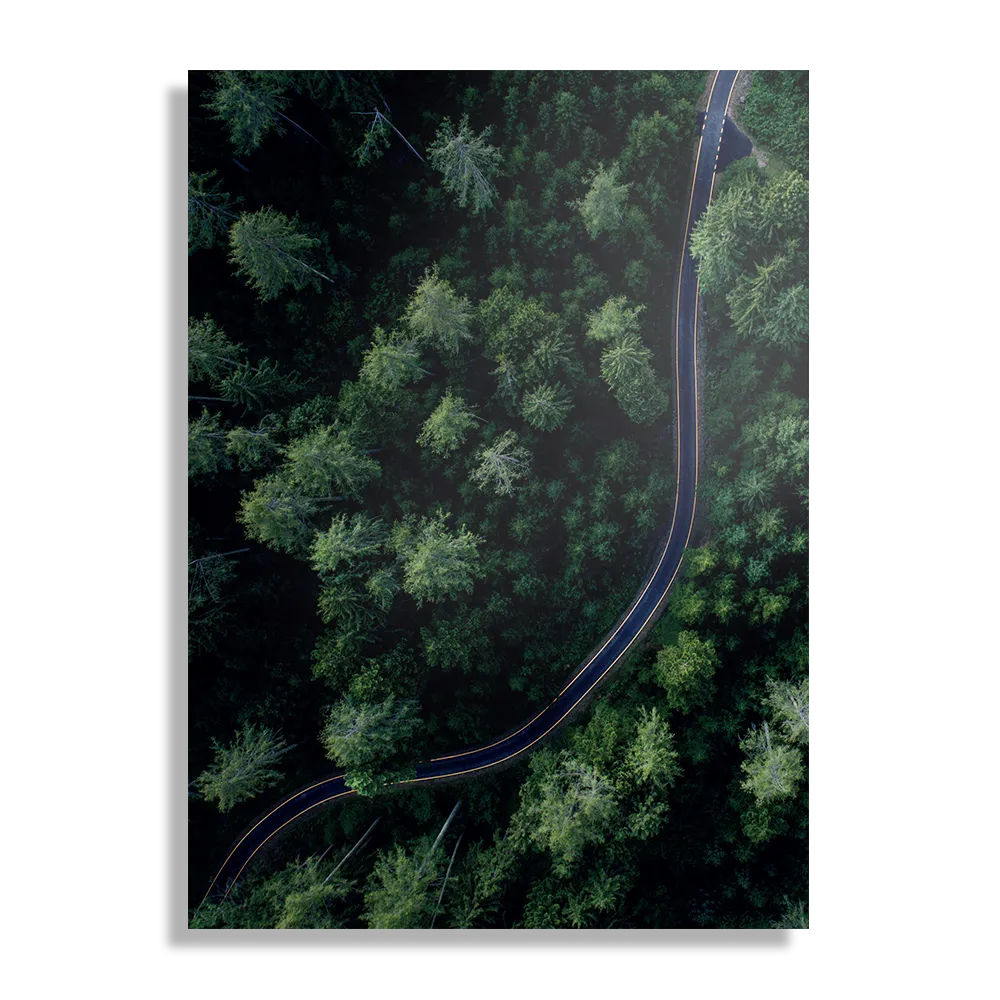 Schilderij Weg door het bos Rechthoek Verticaal Template DB 50 70 Verticaal Natuur 74 1