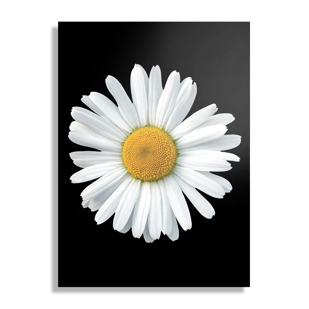 Schilderij Magriet Rechthoek Verticaal Template DB 50 70 Verticaal Natuur 80 1