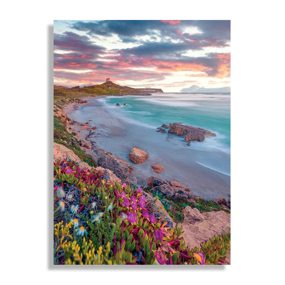 Template_DB_50-70_Verticaal_Natuur_81-1 Schilderij Kleurrijke kust Rechthoek Verticaal Template DB 50 70 Verticaal Natuur 81 1