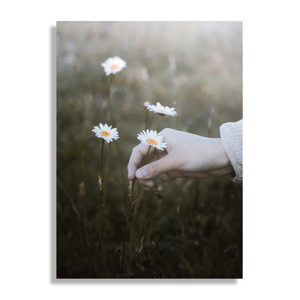 Schilderij Pluk Het Madeliefje Rechthoek Verticaal Template DB 50 70 Verticaal Romantisch 7 1