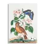 Schilderij Prent Natuur Vogel en Bloemen 01 Rechthoek Verticaal Template DB 50 70 Verticaal Vintage 1 1