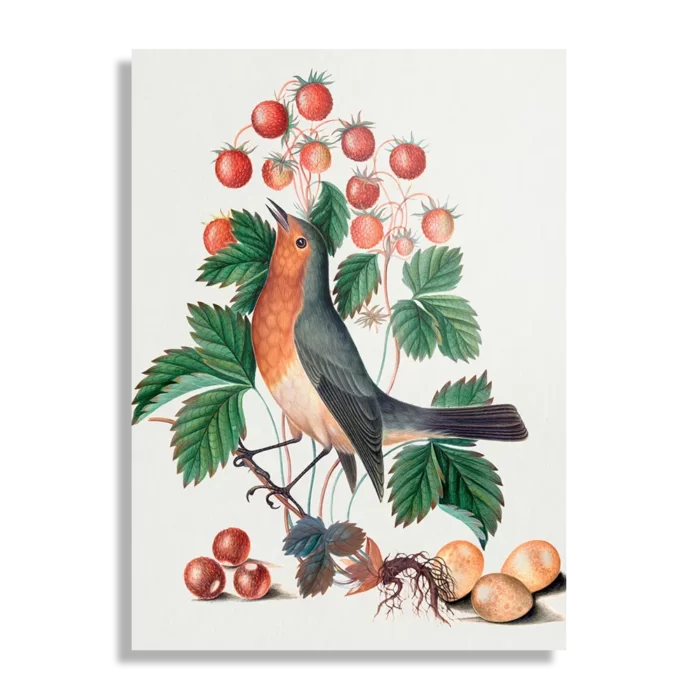 Schilderij Prent Natuur Vogel en Bloemen 11 Rechthoek Verticaal Template DB 50 70 Verticaal Vintage 11 1