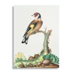 Schilderij Prent Natuur Vogel en Bloemen 15 Rechthoek Verticaal Template DB 50 70 Verticaal Vintage 15 1