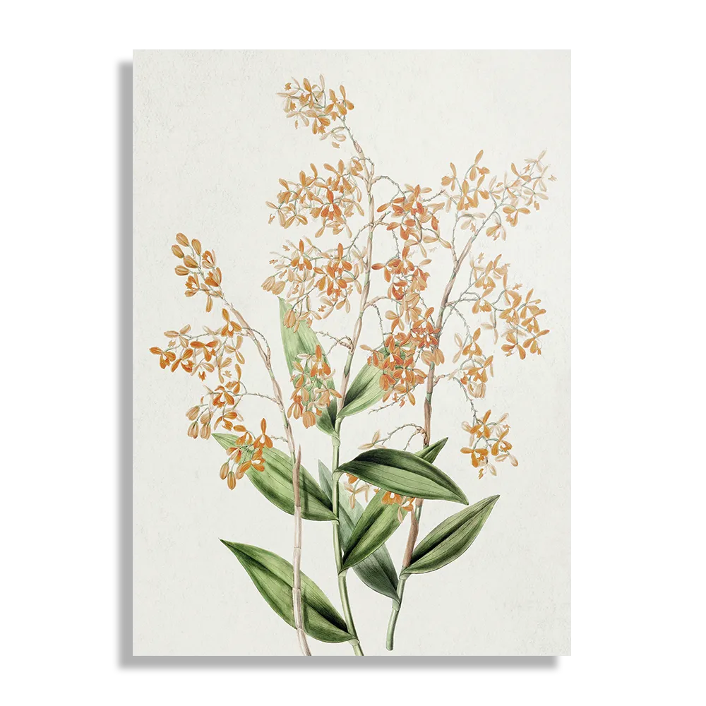Template_DB_50-70_Verticaal_Vintage_16-1 Schilderij Prent Bloemen Rechthoek Verticaal Template DB 50 70 Verticaal Vintage 16 1