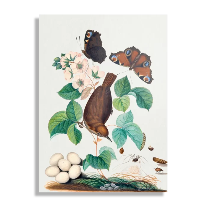 Schilderij Prent Natuur Vogel en Bloemen 03 Rechthoek Verticaal Template DB 50 70 Verticaal Vintage 3 1