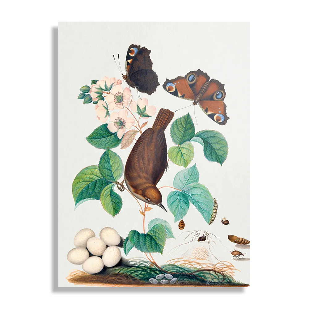 Schilderij Prent Natuur Vogel en Bloemen 03 Rechthoek Verticaal Template DB 50 70 Verticaal Vintage 3 1