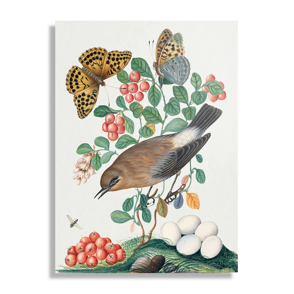 Schilderij Prent Natuur Vogel en Bloemen 05 Rechthoek Verticaal Template DB 50 70 Verticaal Vintage 5 1