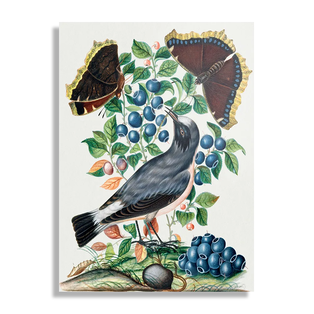 Template_DB_50-70_Verticaal_Vintage_6-1 Schilderij Prent Natuur Vogel en Bloemen 06 Rechthoek Verticaal Template DB 50 70 Verticaal Vintage 6 1
