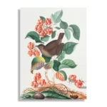 Schilderij Prent Natuur Vogel en Bloemen 08 Rechthoek Verticaal Template DB 50 70 Verticaal Vintage 8 1