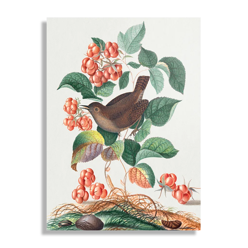 Schilderij Prent Natuur Vogel en Bloemen 08 Rechthoek Verticaal Template DB 50 70 Verticaal Vintage 8 1