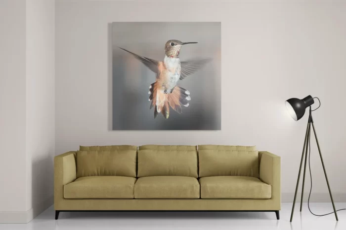 Schilderij De Vliegende Kolibrie Vogel Vierkant Template D Vierkant Dieren 19 2