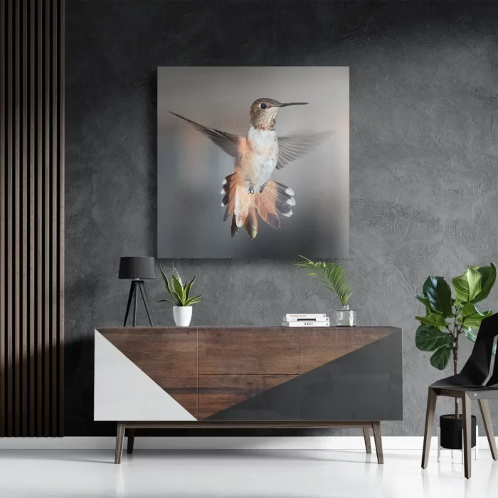 Schilderij De Vliegende Kolibrie Vogel Vierkant Template D Vierkant Dieren 19 3